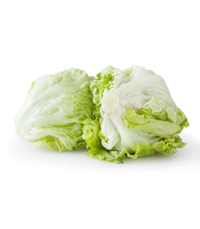 iceberg Iceberg - خس الأيسبرغ – Image 1