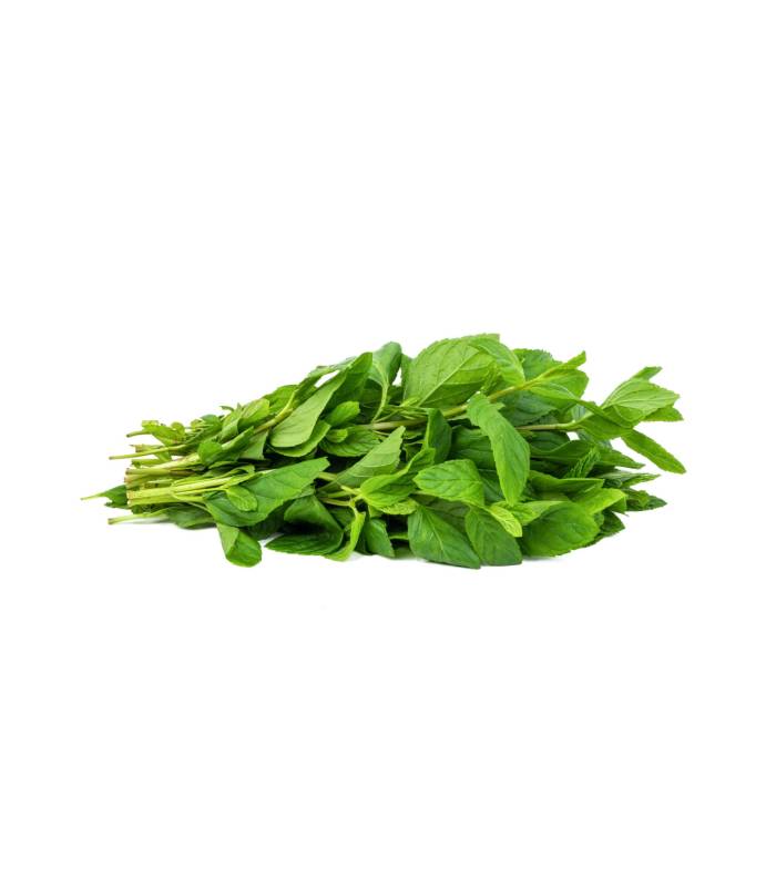 menthe Menthe - نعناع – Image 1