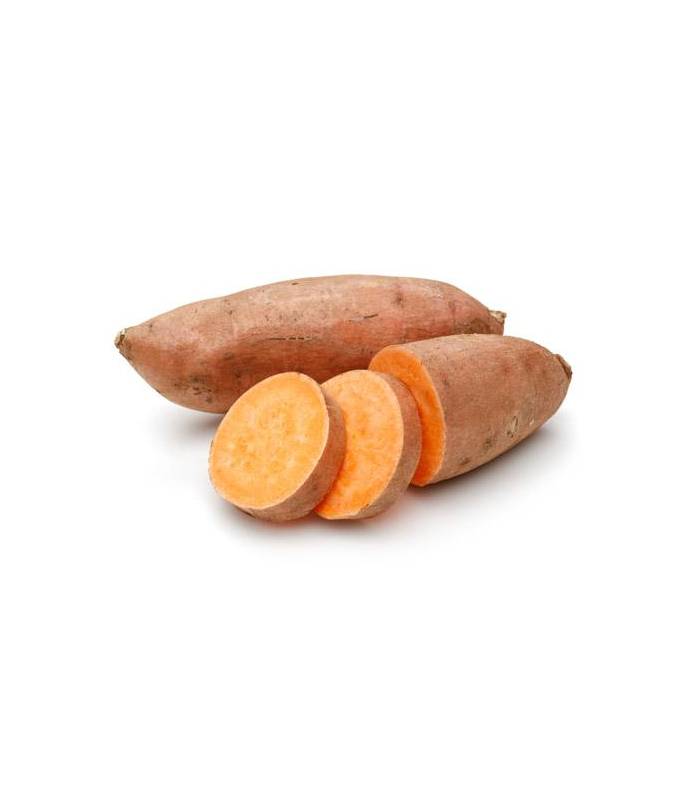 patate-douce Patate douce - بطاطا حلوة – Image 1