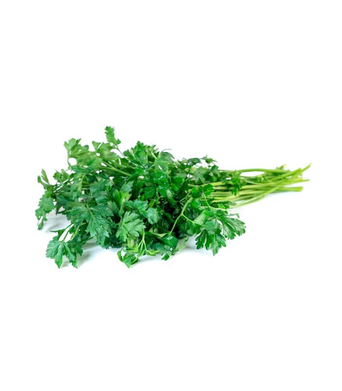 persil Persil - معدنوس – Image 1