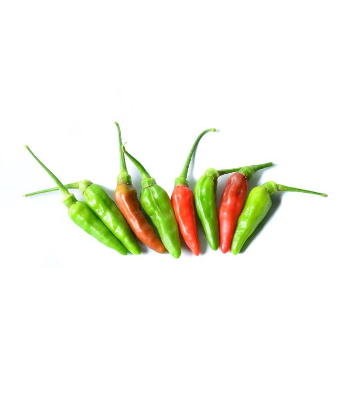 piment piquant Piment piquant - فلفل حار – Image 1