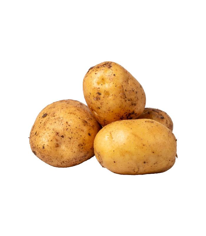 pomme-de-terre Pomme de terre - بطاطا – Image 1