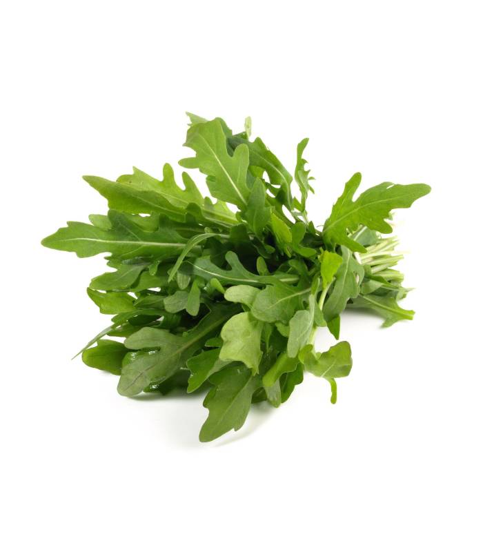 roquette Roquette Fraîche - جرجير – Image 1